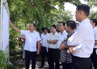 Quyết liệt tháo gỡ khó khăn, đẩy nhanh tiến độ thi công đường Hồ Trung Thành