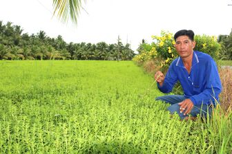 ដាំ​បន្លែ​ម្អម​លើ​ដី​ស្រែ​ ប្រ​សិទ្ធ​ភាព​សេដ្ឋ​កិច្ច​ខ្ពស់​