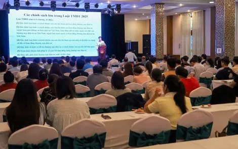 Tuyên truyền, phổ biến quy định pháp luật về thương mại điện tử