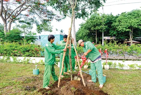 Chú trọng phát triển rừng và nâng cao độ che phủ cây xanh