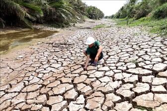 Vietnam approves carbon credit pact with Singapore under Paris Agreement