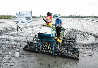 Digital transformation in agriculture toward green and modern production