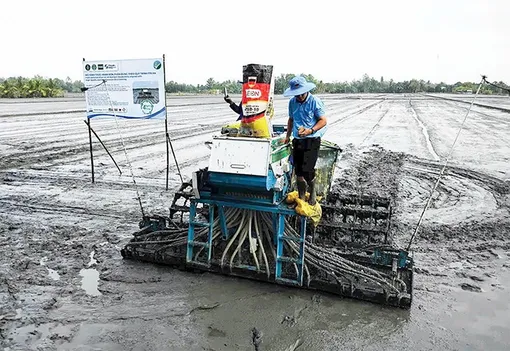 Digital transformation in agriculture toward green and modern production