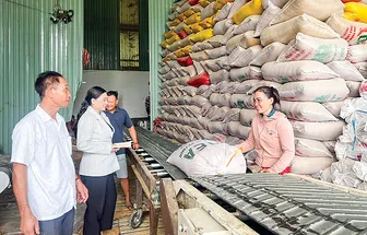 Đồng bộ giải pháp, tạo bệ phóng nâng tầm sản phẩm OCOP Cần Thơ