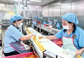 OCOP Cần Thơ: Bệ phóng nâng tầm giá trị sản phẩm
