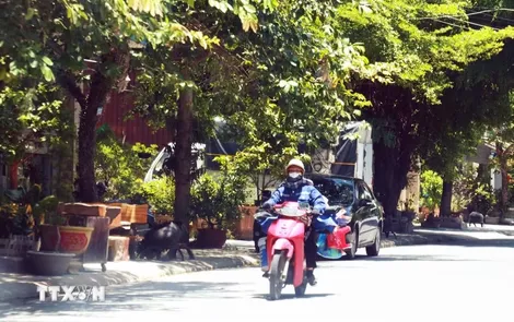 Thời tiết ngày 16/8: Nắng nóng ở Trung Bộ, Bắc Bộ đón đợt mưa lớn diện rộng