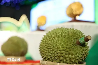 Không mở rộng diện tích sầu riêng, tập trung nâng cao năng suất, chất lượng