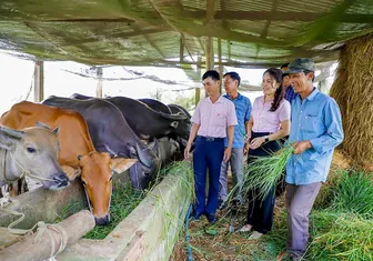 Nguồn vốn tín dụng chính sách - điểm tựa phát triển sinh kế