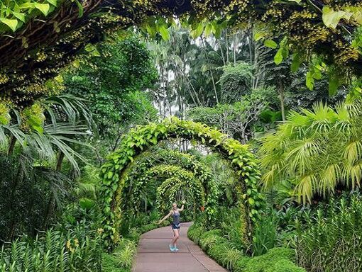 Singapore strives to preserve essential green spaces
