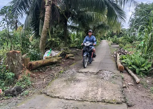 Mong sớm nâng cấp đường Kinh tế mới
