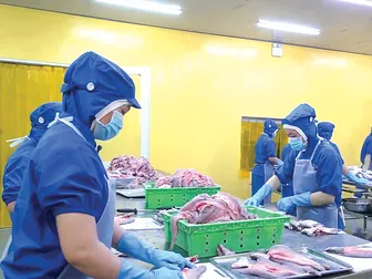 Tháo gỡ khó khăn, tăng tốc giải ngân vốn đầu tư công
