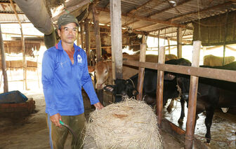 ផ្តើម​ពី​គោ​ពីរ​ក្បាល​ បាន​បង្កើត​ទៅ​ជា​ហ្វូង​គោ​