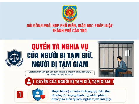 [INFOGRAPHICS] Quyền và nghĩa vụ của người bị tạm giữ, người bị tạm giam