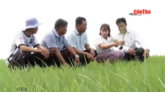 “Động lực phát triển Cần Thơ” - Bức tranh phát triển của thành phố