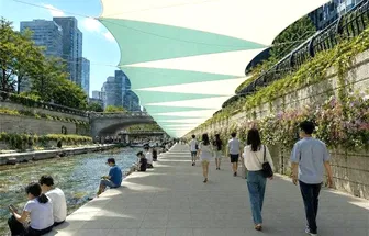 Cư dân Seoul sẽ có “quyền được hưởng bóng mát”