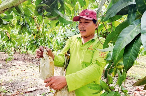 Phấn đấu có ít nhất 6 xã đạt chuẩn nông thôn mới trong năm 2026 
