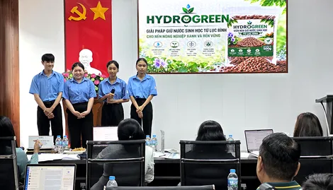HydroGreen - Viên nén giữ nước sinh học từ lục bình