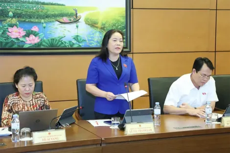 Bà Lê Thị Thanh Lam, Phó trưởng đoàn chuyên trách Đoàn Đại biểu Quốc hội TP Cần Thơ, góp ý dự thảo Nghị quyết phê duyệt chủ trương đầu tư Chương trình mục tiêu quốc gia phát triển văn hóa - xã hội, nông thôn, dân tộc và miền núi giai đoạn 2026-2035