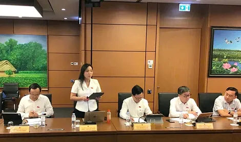Bà Triệu Thị Ngọc Diễm, đại biểu Quốc hội đơn vị TP Cần Thơ, góp ý định hướng chính sách sửa đổi Luật Đất đai năm 2024