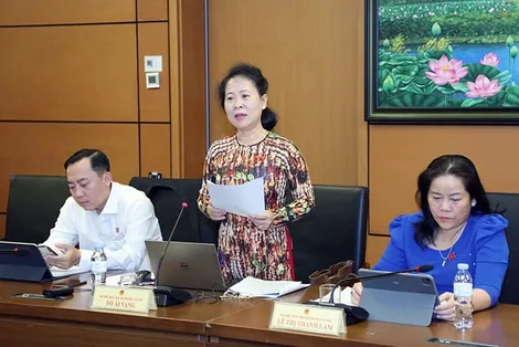 Bà Tô Ái Vang, Phó trưởng đoàn chuyên trách Đoàn Đại biểu Quốc hội TP Cần Thơ, góp ý về định hướng chính sách sửa đổi Luật Đất đai năm 2024