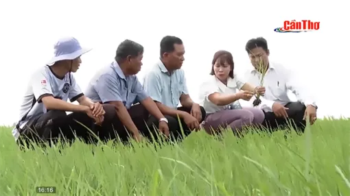 “Động lực phát triển Cần Thơ” - Bức tranh phát triển của thành phố