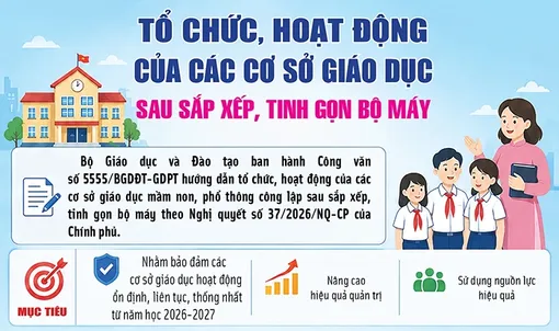 [INFOGRAPHICS] Tổ chức, hoạt động của các cơ sở giáo dục sau sắp xếp, tinh gọn bộ máy
