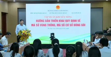 Tập huấn hướng dẫn triển khai quy định về mã số vùng trồng và mã số cơ sở đóng gói