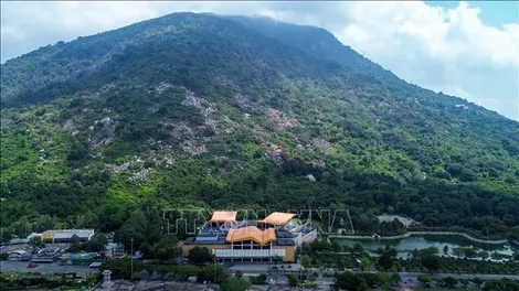Khuyến cáo không tự tổ chức tour leo núi, khám phá rừng trái phép ở núi Bà Đen