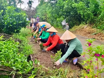 Hội Nông dân xã Đại Hải thực hiện tuyến đường xanh - sạch - đẹp
