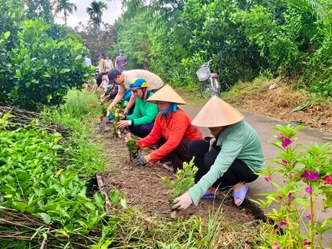 Hội Nông dân xã Đại Hải thực hiện tuyến đường xanh - sạch - đẹp