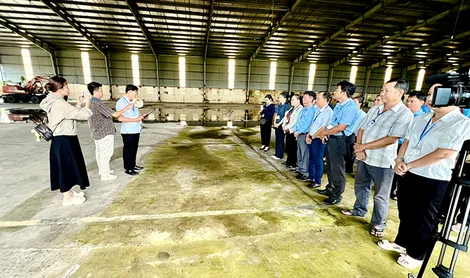 Cưỡng chế thu hồi đất để thực hiện Dự án đường Tỉnh 918 (giai đoạn 2)
