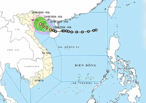 Thời tiết ngày 21/8: Áp thấp nhiệt đới có khả năng mạnh lên thành bão, Bắc Bộ mưa rất to