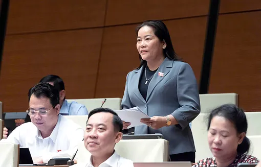 Bà Lê Thị Thanh Lam, Phó trưởng đoàn chuyên trách Đoàn Đại biểu Quốc hội TP Cần Thơ, góp ý về định hướng chính sách sửa đổi Luật Đất đai năm 2024