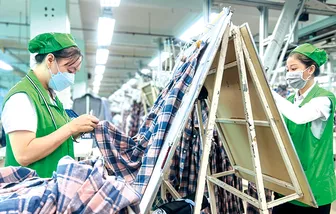 Nắm bắt cơ hội, tuân thủ quy định để chinh phục thị trường Hoa Kỳ