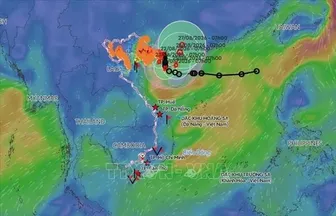 Bão số 4 gây mưa rất lớn cho khu vực Đông Bắc Bộ và Thanh Hóa