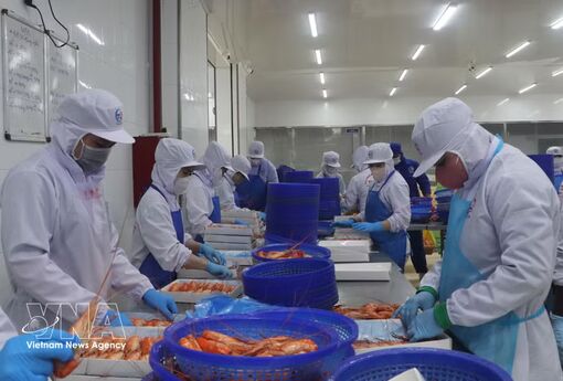 Vietnam's economy expected to grow 11% in 2027