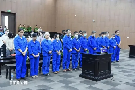 Cựu Thứ trưởng Nguyễn Bá Hoan bị phạt 12 năm tù về tội nhận hối lộ