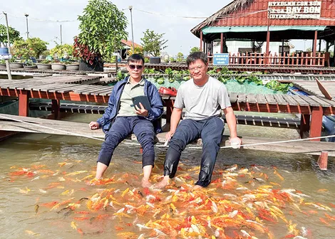 Hạ tầng sẵn sàng, chờ bứt phá mới