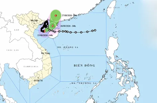 Thời tiết ngày 25/8: Bão số 4 đổi hướng, nhiều nơi tiếp tục mưa lớn