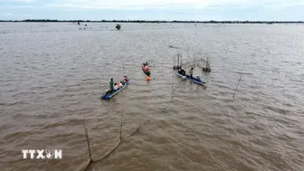 Về Đồng Tháp, trải nghiệm du lịch mùa nước nổi
