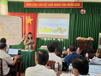 Rà soát quy hoạch vùng lúa chất lượng cao và định hướng phát triển vùng cây ăn trái tập trung