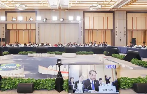Hội nghị APEC về An ninh Lương thực: Việt Nam đề xuất 4 hướng hợp tác chiến lược