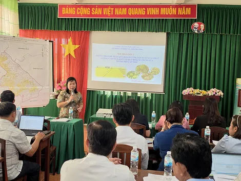 Rà soát quy hoạch vùng lúa chất lượng cao và định hướng phát triển vùng cây ăn trái tập trung
