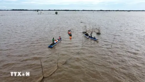 Về Đồng Tháp, trải nghiệm du lịch mùa nước nổi