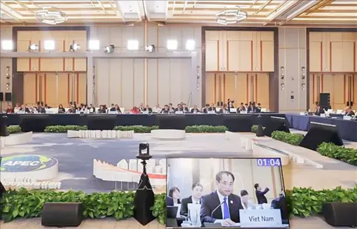 Hội nghị APEC về An ninh Lương thực: Việt Nam đề xuất 4 hướng hợp tác chiến lược