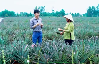 “Chái bếp quê nhà” - Nét đẹp văn hóa trong ẩm thực miệt vườn