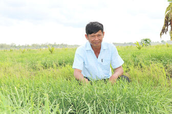 ទម្រង់​ដាំ​គូ​ឆាយ​បាញ់​ទឹក​សន្សើម​ផ្តល់​ប្រ​សិទ្ធ​ភាព​សេដ្ឋ​កិច្ច​ខ្ពស់​