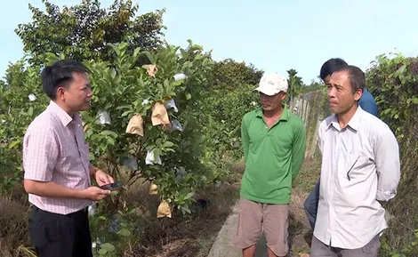 Khi chính sách bồi thường “thấu tình, đạt lý”