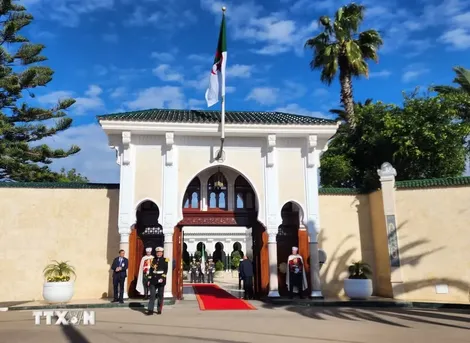 Algeria tuyên bố quốc tang sau làn sóng cháy rừng