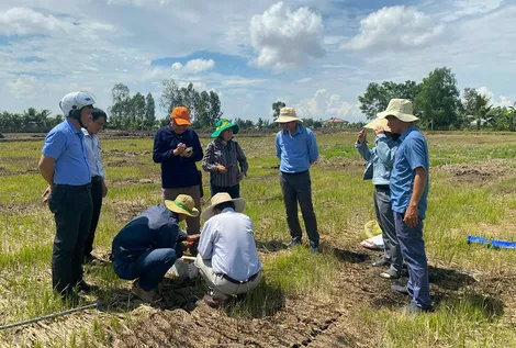Cải thiện và nâng cao phì nhiêu đất bền vững bằng các mô hình, giải pháp hiệu quả